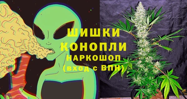 MESCALINE Инта