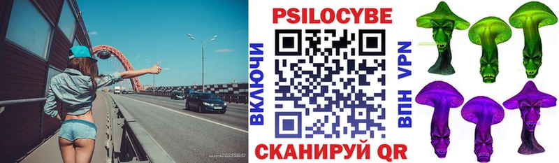 ОМГ ОМГ Николаевск Галлюциногенные грибы Psilocybine cubensis